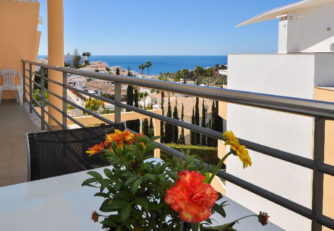 Apartamento em Albufeira - Apt. Medronho OCV - Vista Mar Apartamento em Albufeira - Apt. Medronho OCV - Vista Mar