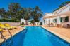 Villa em Albufeira - Villa Bia OCV - Piscina Privada Villa em Albufeira - Villa Bia OCV - Piscina Privada