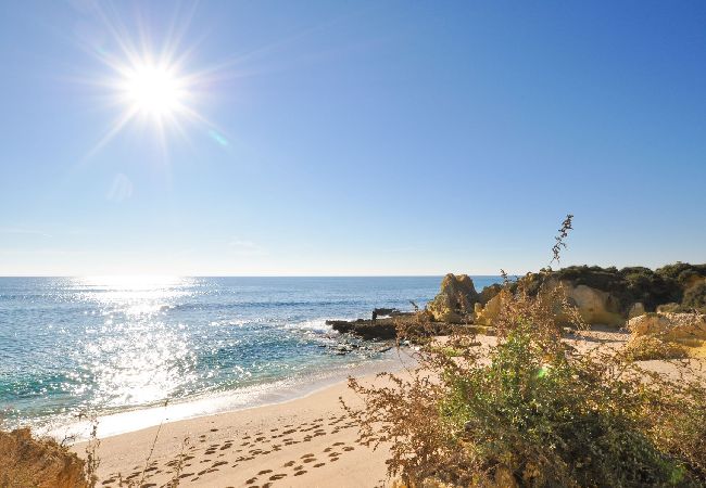 Apartamento em Galé - Apt. Galé Mar OCV - Vista Mar Apartamento em Galé - Apt. Galé Mar OCV - Vista Mar