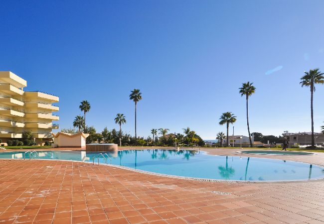 Apartamento em Galé - Apt. Galé Mar OCV - Vista Mar Apartamento em Galé - Apt. Galé Mar OCV - Vista Mar