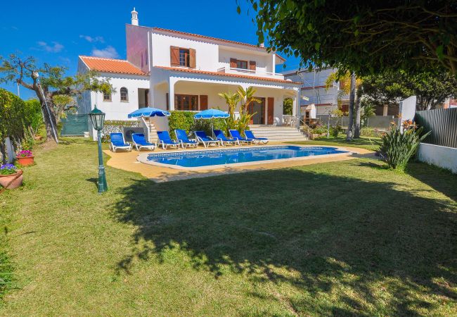 Villa em Albufeira - Casa Das Palmeiras OCV - Ideal Familias