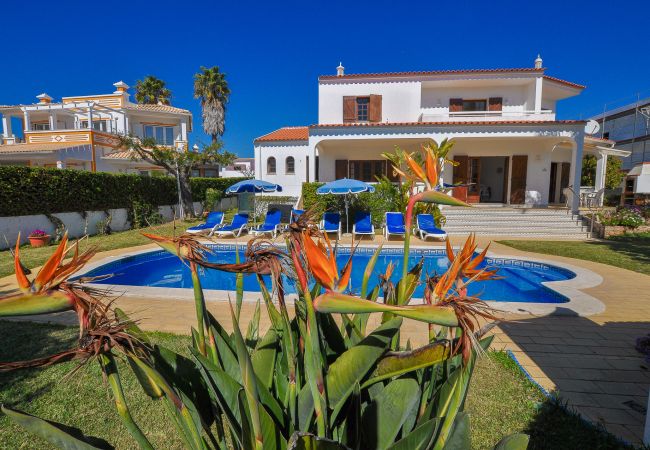 Villa em Albufeira - Casa Das Palmeiras OCV - Ideal Familias Villa em Albufeira - Casa Das Palmeiras OCV - Ideal Familias