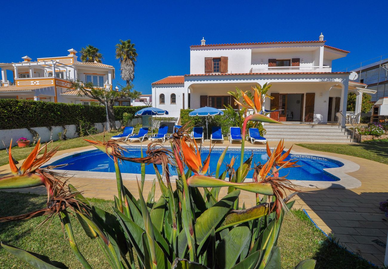 Villa em Albufeira - Casa Das Palmeiras OCV - Ideal Familias