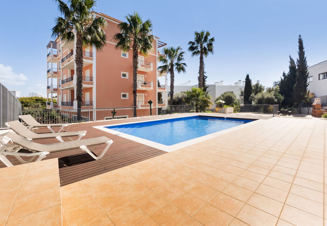 Apartamento em Albufeira - Apt. Deluxe OCV - Piscina & Vista sobre Albufeira