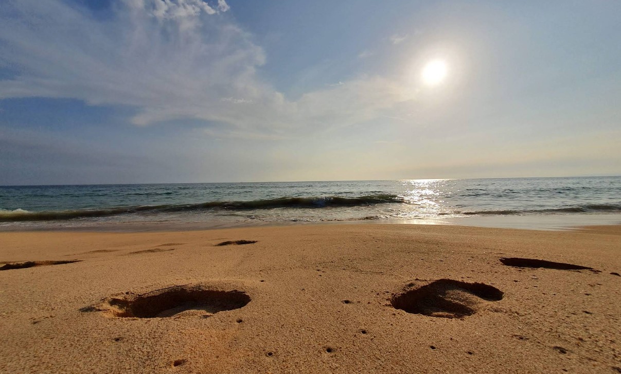 Praia-da-Gale-Algarve.jpg