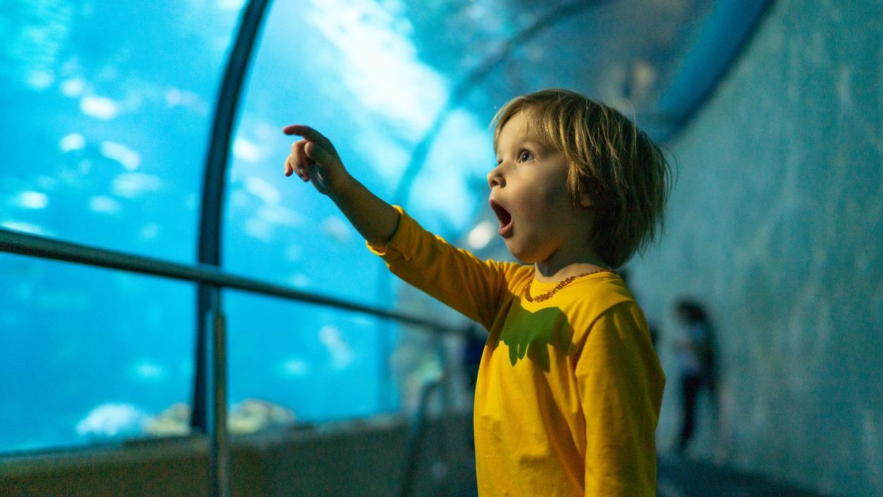 Zoomarine-Algarve-Portugal-kids