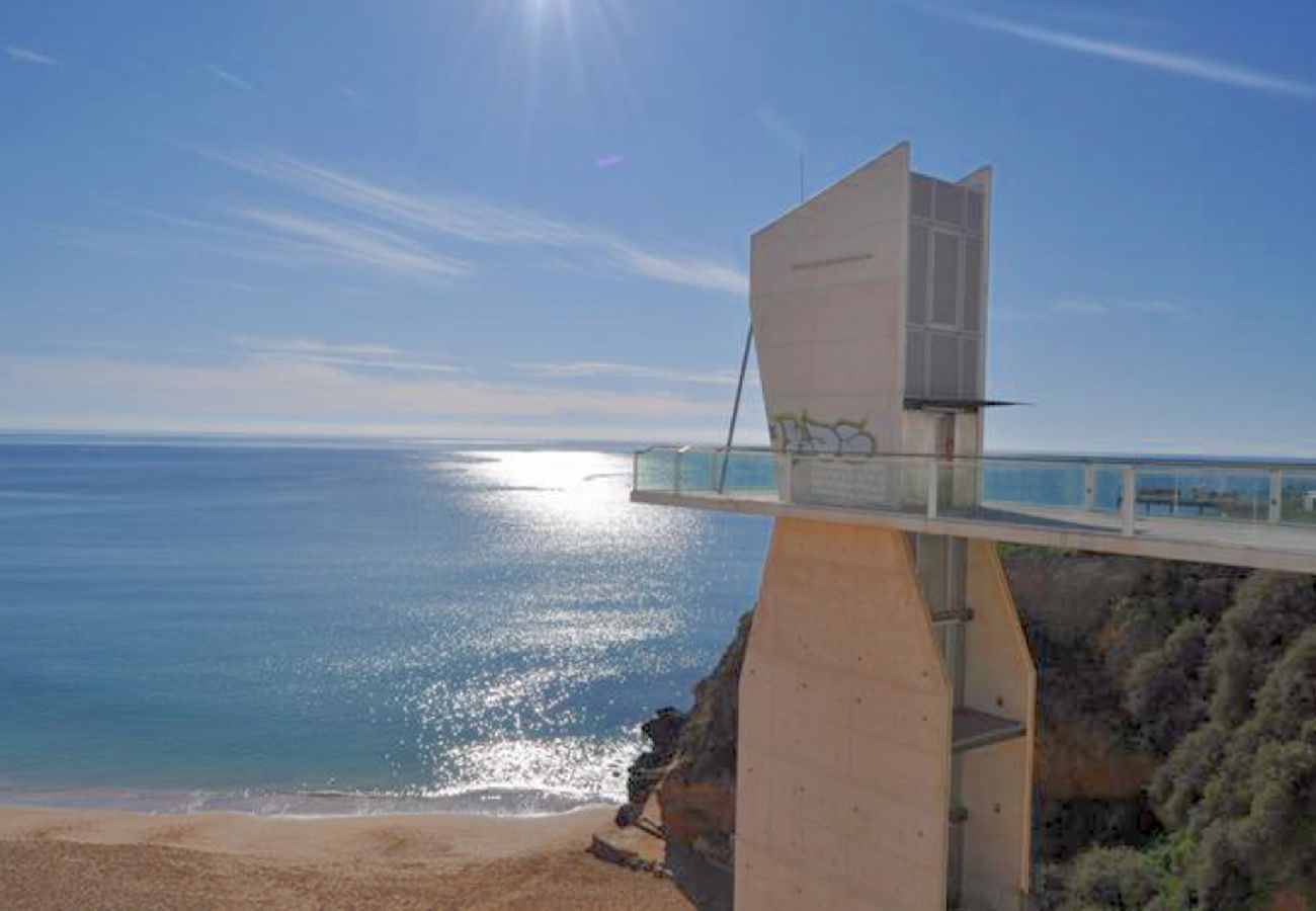 Apartment in Albufeira - Flat Pé na Praia OCV - Ocean View