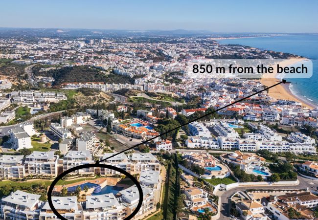 Apartment in Albufeira - Flat Figo OCV - Ocean View