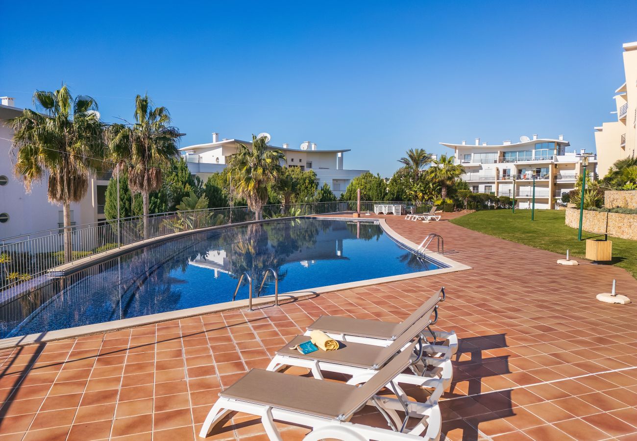 Apartment in Albufeira - Flat Figo OCV - Ocean View