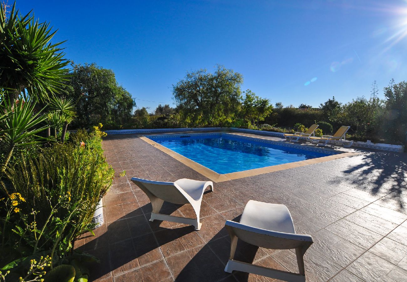 Villa in Silves - Villa Tropical OCV - Private Pool