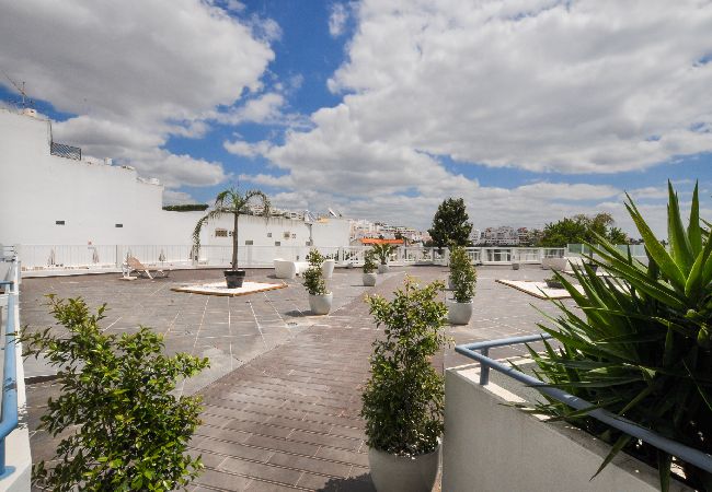 Studio in Albufeira - Studio Bay View OCV - Ocean View Studio in Albufeira - Studio Bay View OCV - Ocean View