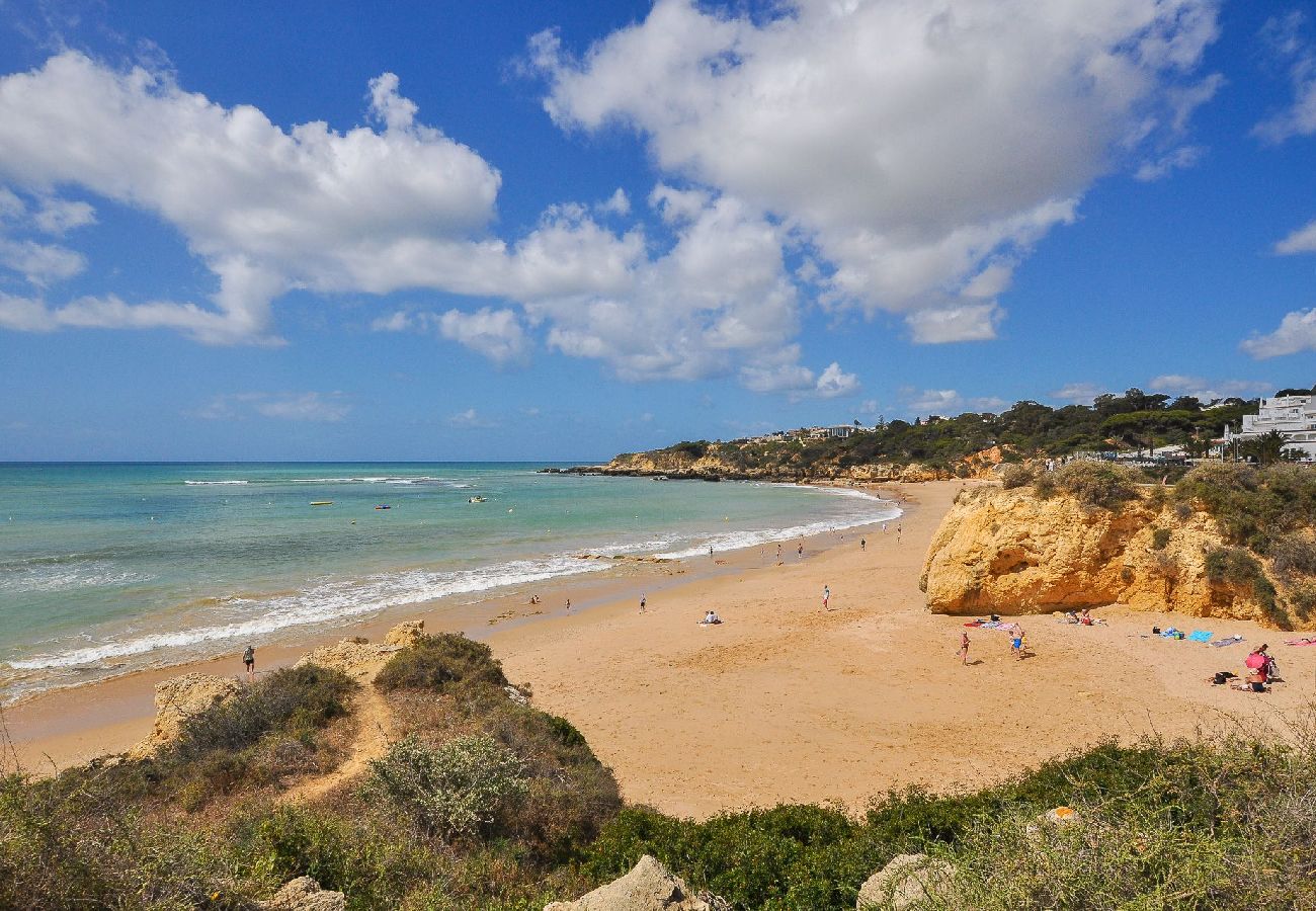 Apartment in Albufeira - Flat CPO OCV - Ocean View