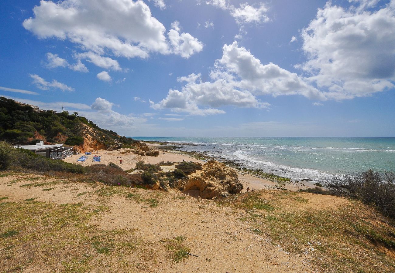 Apartment in Albufeira - Flat CPO OCV - Ocean View