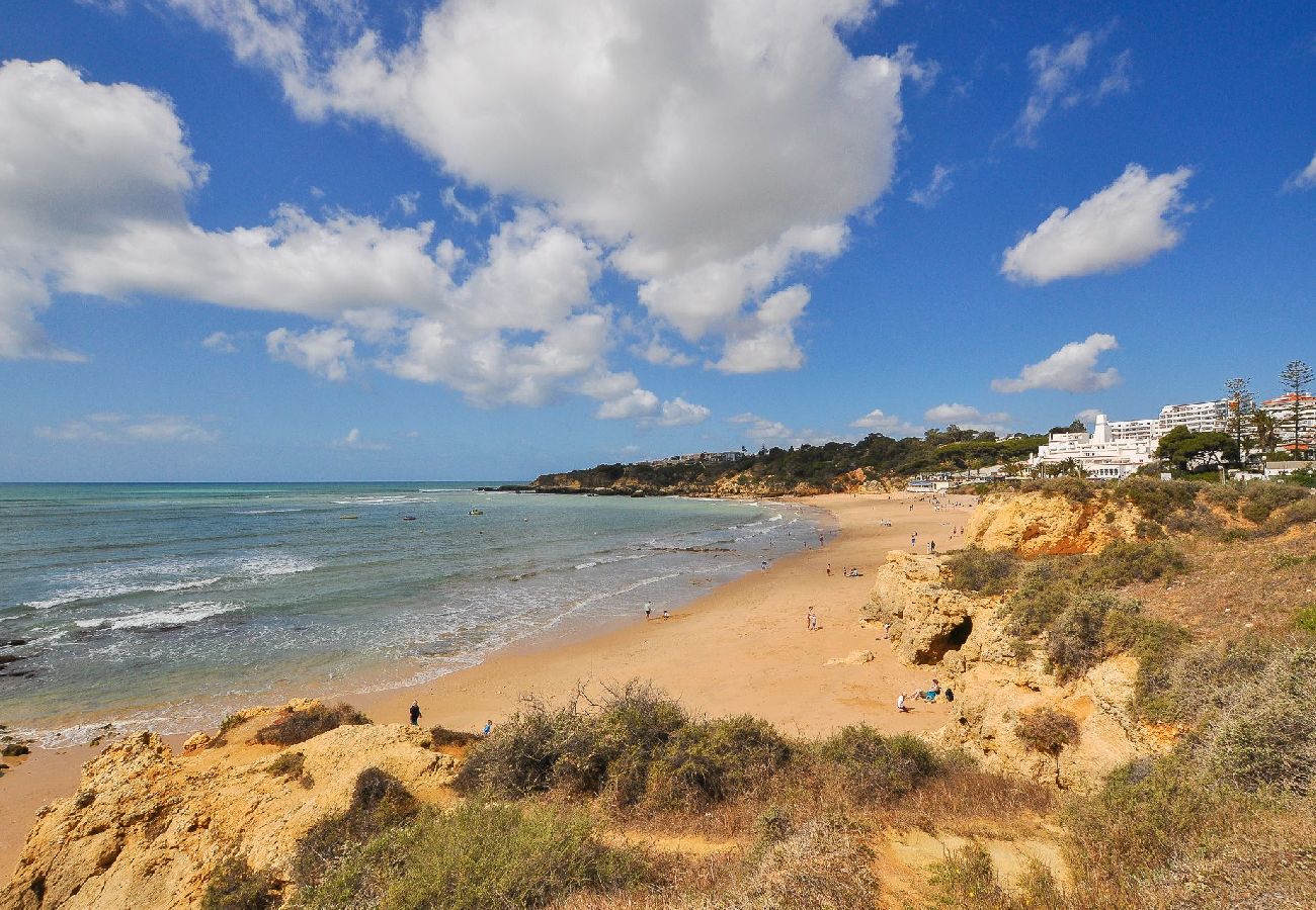 Apartment in Albufeira - Flat CPO OCV - Ocean View