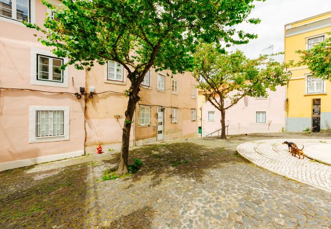 Studio in Lisboa - RENT4REST LISBON DOWNTOWN TINY STUDIO APARTMENT 1 Studio in Lisboa - RENT4REST LISBON DOWNTOWN TINY STUDIO APARTMENT 1