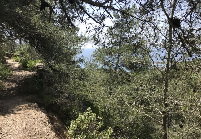 House in Sesimbra - RENT4REST SESIMBRA 4BDR OCEAN VIEW AND PRIVATE POOL VILLA House in Sesimbra - RENT4REST SESIMBRA 4BDR OCEAN VIEW AND PRIVATE POOL VILLA