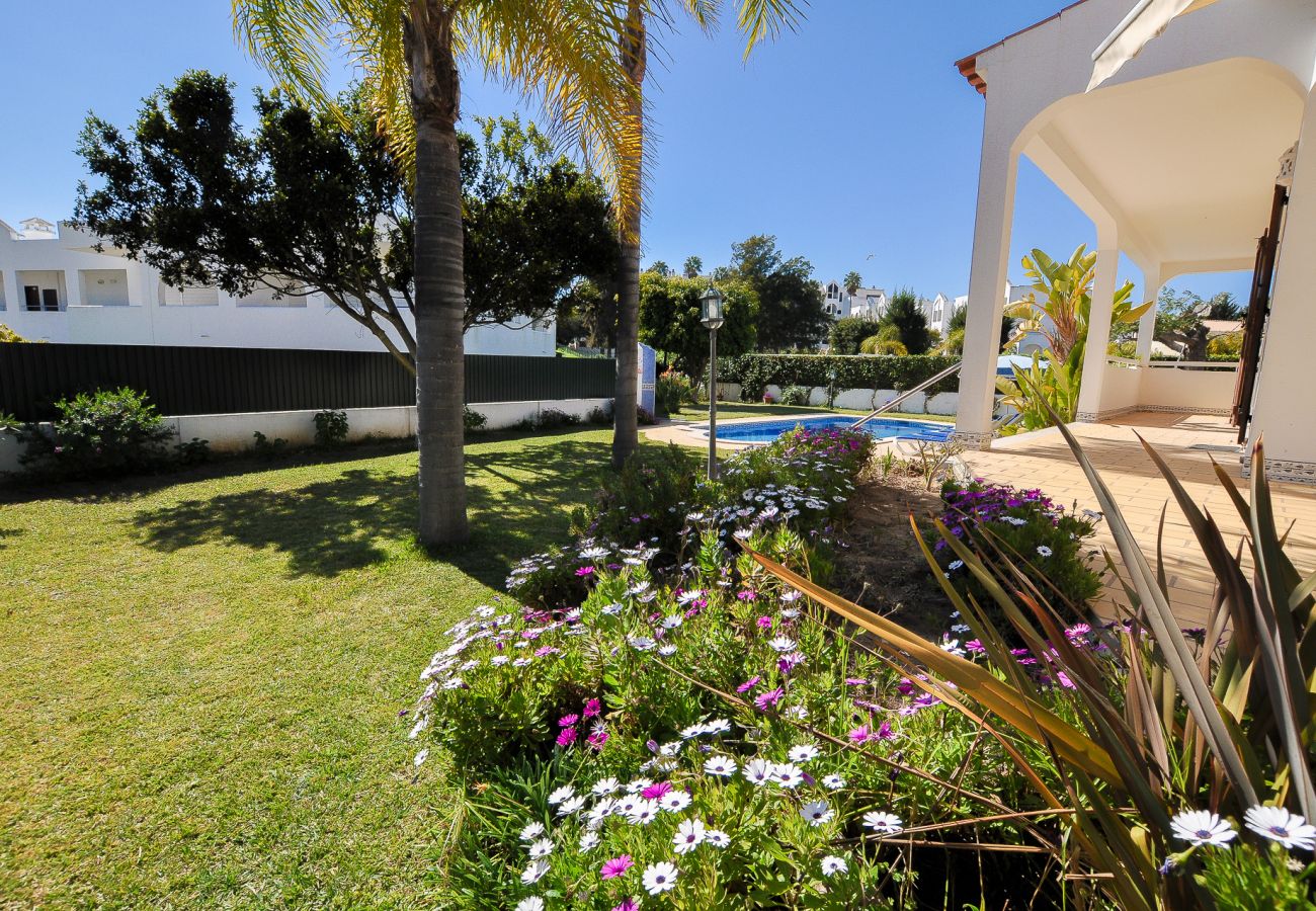 Villa in Albufeira - Casa Das Palmeiras OCV - Ideal for families