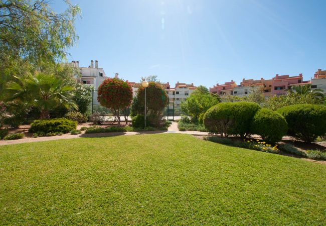 Studio in Albufeira - Ondas Verdes Ocv - Central, Pool & Tenis Court Studio in Albufeira - Ondas Verdes Ocv - Central, Pool & Tenis Court