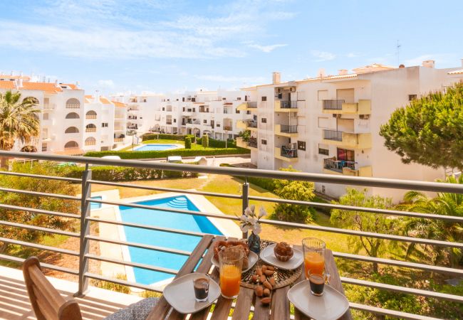 Apartment in Albufeira - Almond Apartment Ocv - Pool & Garage