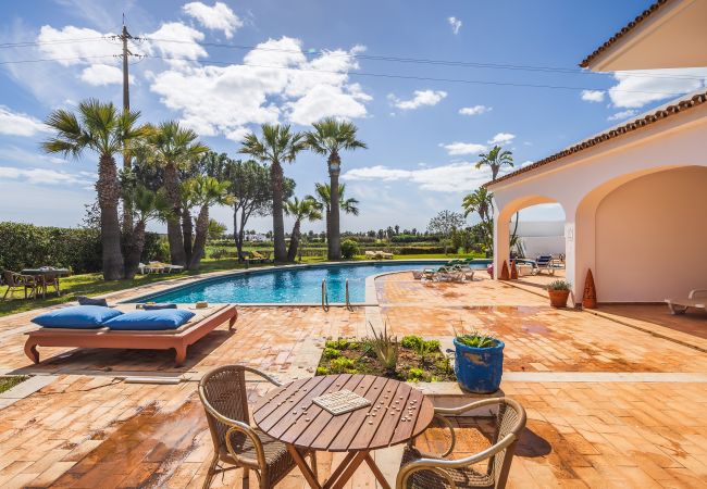 Apartment in Albufeira - Flat Cacto OCV - Pool & Private Parking Apartment in Albufeira - Flat Cacto OCV - Pool & Private Parking