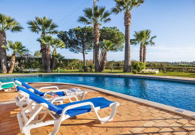 Apartment in Albufeira - Flat Cacto OCV - Pool & Private Parking Apartment in Albufeira - Flat Cacto OCV - Pool & Private Parking