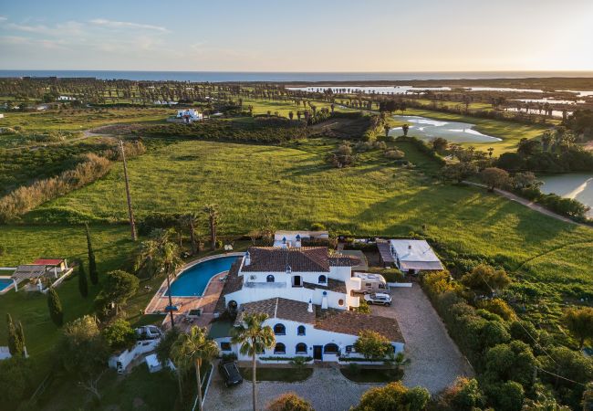 Apartment in Albufeira - Flat Cacto OCV - Pool & Private Parking Apartment in Albufeira - Flat Cacto OCV - Pool & Private Parking