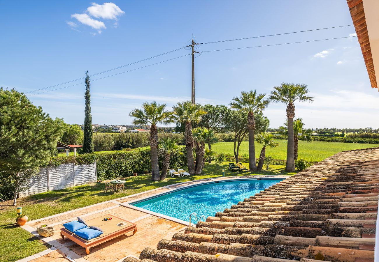 Apartment in Albufeira - Flat Dalia OCV - Pool & Private Parking