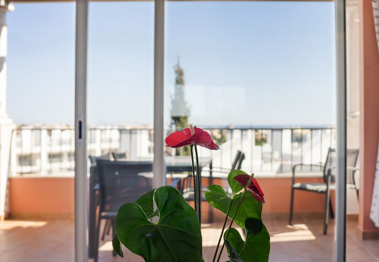 Apartment in Albufeira - Apt. Deluxe OCV - Pool & Albufeira View